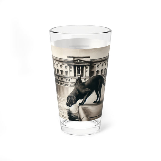 Black Lab Drinking