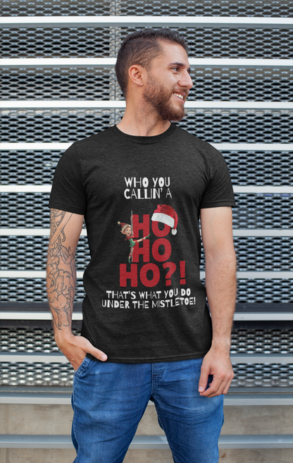 Who You Callin' A Ho Ho Ho?!